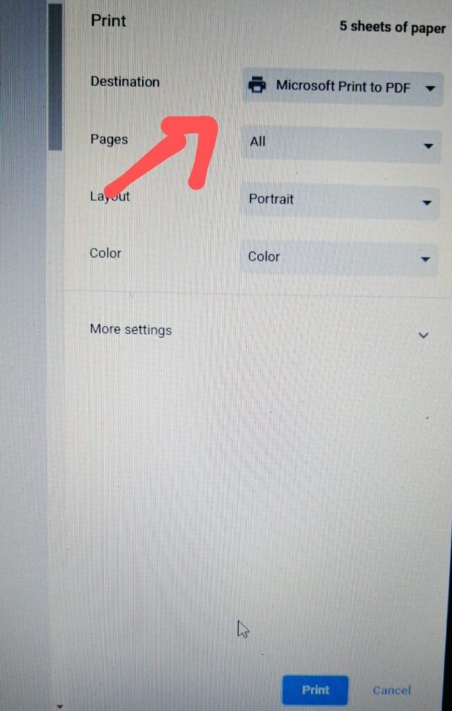 Select the Printer Friendly or PDF option